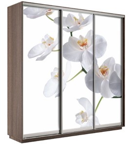 Шкаф 3-дверный Экспресс 2400х600х2200, Орхидея белая/шимо темный в Комсомольске-на-Амуре