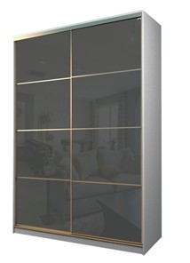 Шкаф 2-х дверный MAX МШ-25-6-18-22, Профиль Золото/Цвет Белый/Oracal Темно-серый в Хабаровске
