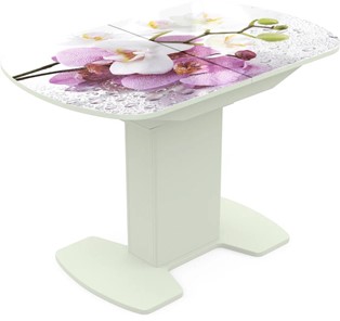 Кухонный стол раскладной Корсика исп. 2 Фотопечать (Цветы №44) 1200(1515)*800 в Хабаровске