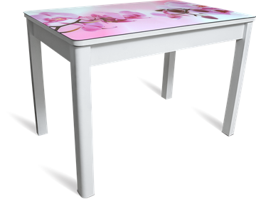 Кухонный стол раздвижной Айсберг мини СТФ, белое лдсп/орхидея/40 прямые массив белые в Хабаровске