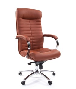 Кресло офисное CHAIRMAN 480 Экокожа Terra 111 (коричневая) в Хабаровске
