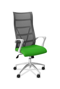 Кресло для руководителя Топ X белый каркас, сетка/ткань TW / серая/салатовая в Хабаровске