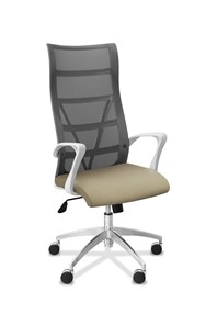 Офисное кресло для руководителя Топ X белый каркас, сетка/ткань TW / серая/светло-серая в Хабаровске