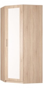 Шкаф распашной угловой Реал (YR-230х884 (9)-М Вар.1), с зеркалом в Хабаровске - предосмотр
