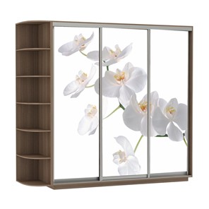 Шкаф 3-створчатый Экспресс со стеллажом, 2100х600х2200, Орхидея белая/шимо темный в Хабаровске