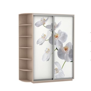 Шкаф 2-дверный Экспресс 1900x600x2200, со стеллажом, Орхидея белая/дуб молочный в Хабаровске