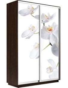 Шкаф Экспресс 1400x600x2400, Орхидея белая/венге в Хабаровске