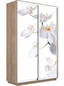 Шкаф 2-створчатый Экспресс 1600x450x2400, Орхидея белая/дуб сонома в Хабаровске