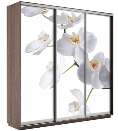 Шкаф Экспресс 2100х600х2200, Орхидея белая/шимо темный в Хабаровске - изображение