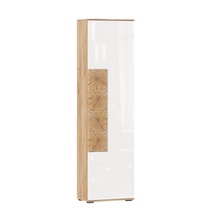 Шкаф одностворчатый Фиджи, 659300, белый/дуб золотой в Хабаровске - изображение