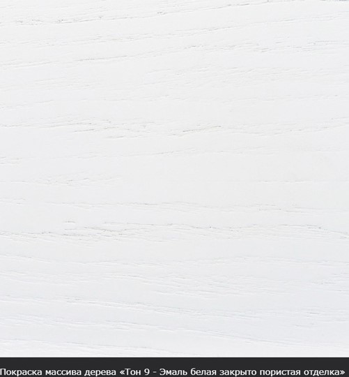 Стол раздвижной Фабрицио-1 исп. Круг 820, Тон 9 (Морилка/Эмаль) в Хабаровске - изображение 16