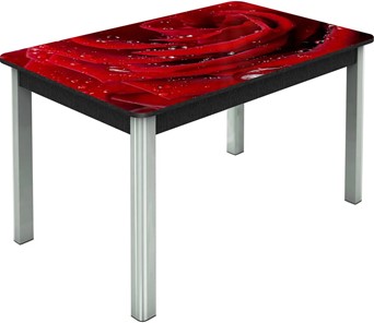 Кухонный раскладной стол Гамбург исп. Мини, ноги метал. крашеные №23, Фотопечать (Цветы №39) в Хабаровске