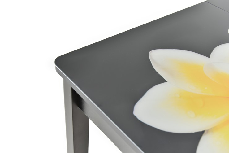 Кухонный стол раскладной Гамбург исп.1 ноги метал. крашеные №23, Фотопечать (Текстура №26) в Хабаровске - изображение 8
