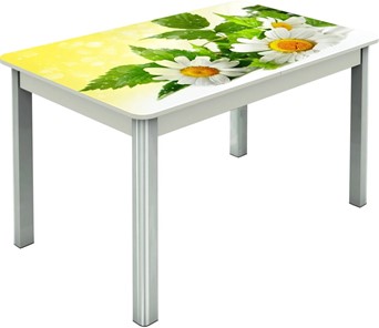 Кухонный раскладной стол Гамбург исп.2 ноги метал. крашеные №23, Фотопечать (Цветы №3) в Хабаровске