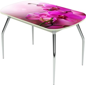 Раздвижной стол Ривьера исп.1 ноги метал. крашеные №24 Фотопечать (Цветы №16) в Хабаровске