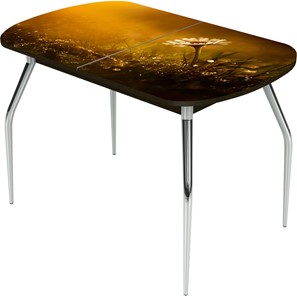 Кухонный раскладной стол Ривьера исп.2 ноги метал. крашеные №24 Фотопечать (Цветы №43) в Хабаровске