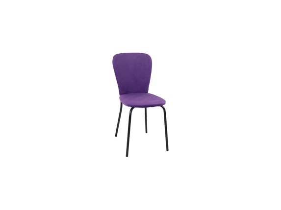 Обеденный стул Роджер Эконом С102-2(стандартная покраска) в Хабаровске - изображение