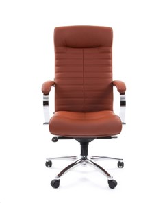 Кресло офисное CHAIRMAN 480 Экокожа Terra 111 (коричневая) в Комсомольске-на-Амуре - предосмотр 1
