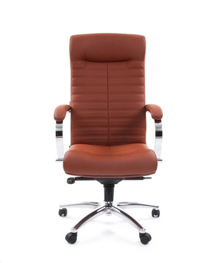 Кресло офисное CHAIRMAN 480 Экокожа Terra 111 (коричневая) в Хабаровске - изображение 1