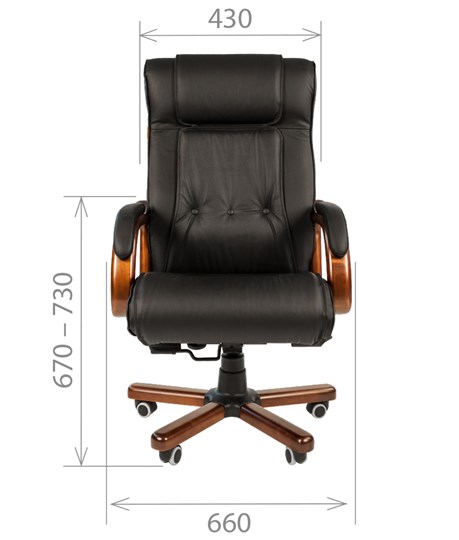 Офисное кресло CHAIRMAN 653 кожа черная в Хабаровске - изображение 1
