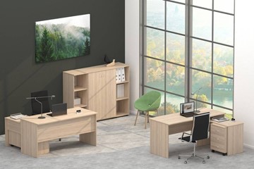 Офисный комплект мебели Twin в Хабаровске - предосмотр 4