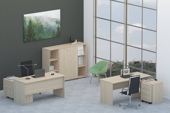 Офисный набор мебели Twin для 2 сотрудников со шкафом для документов в Хабаровске - изображение