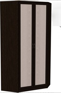 Распашной шкаф 403 несимметричный, цвет Венге в Хабаровске - предосмотр