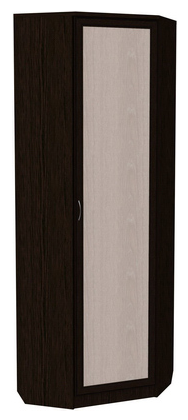 Распашной шкаф 402 угловой со штангой, цвет Венге в Хабаровске - изображение