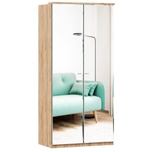Шкаф двухстворчатый с 2-мя зеркалами Фиджи, 659.233, цвет белый в Комсомольске-на-Амуре