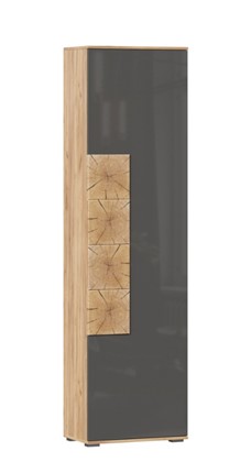 Шкаф одностворчатый Фиджи с декоративными накладками 659.300, Дуб Золотой/Антрацит в Хабаровске - изображение