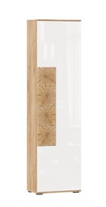 Шкаф одностворчатый Фиджи с декоративными накладками 659.300, Дуб Золотой/Белый в Хабаровске