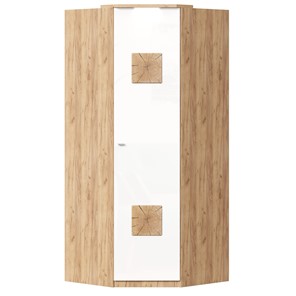 Шкаф угловой 45 с декоративной накладкой Фиджи, 659.248, белый в Хабаровске - предосмотр