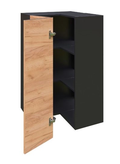 Шкаф кухонный угловой высокий Шервуд, ЛД 281.570.000.043, дуб золотой/черный в Хабаровске - изображение 1